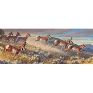Hi Notes - pronghorns on the move by wildlife artist Nancy Glazier
