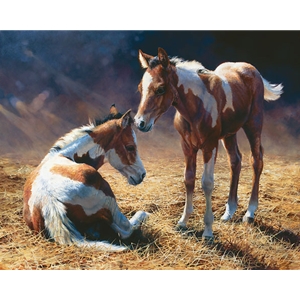 Cousins - two young foals by artist Bonnie Marris