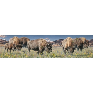 Grounds Keepers - Bison herd grazing by artist Rod Frederick