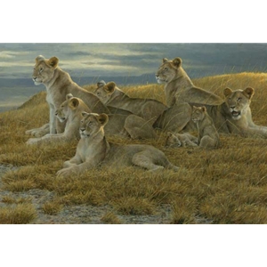 Family Gathering - Lioness and Cubs by Robert Bateman