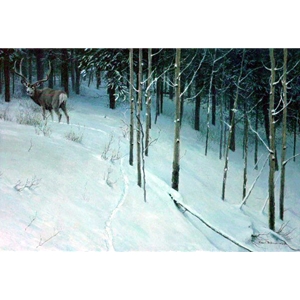 Forest Trail Mule Deer by Robert Bateman