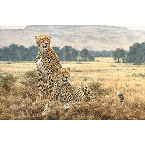 ~ Cheetah Pair by artist Simon Combes