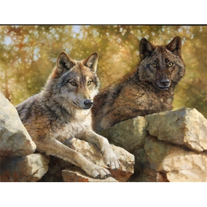 ~ Rocky Lookout - wolf pair by wildife artist Bonnie Marris