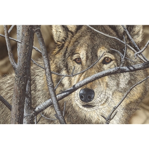 ~ Hiding in Plain Sight - portrait of wolf by Judy Larson