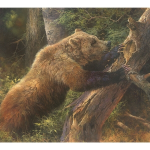 ~ Sweet Tooth - grizzly bear at bees nest by Bonnie Marris