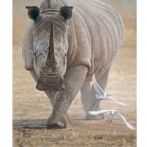 Great White - charging Rhinocerous by John Banovich