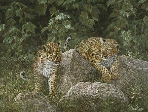 Leopard Cubs by African wildlife artist Simon Combes