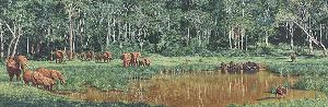 Forest Waterhole - elephant herd by artist Simon Combes