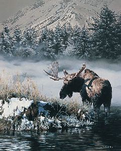 Northern Light - Bull Moose by Rod Frederick