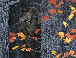Intent - Wolf by Judy Larson