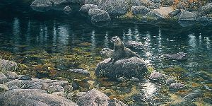 New Kid on the Rock - river otters by wildlife artist Stephen Lyman