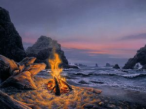 Beach Bonfire by Stephen Lyman