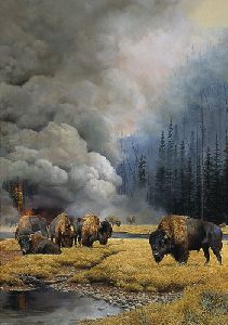New Beginnings - Wildfire and Bison by wildlife artist Bonnie Marris