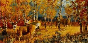 Morning Gold - Mule Deer by wildlife artist Nancy Glazier
