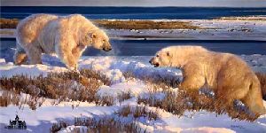 Hudson Heavyweights - Polar Bears by wildlife artist Nancy Glazier