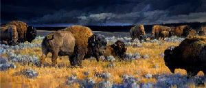 Restless - Bison under stormy skies by western wildlife artist Nancy Glazier